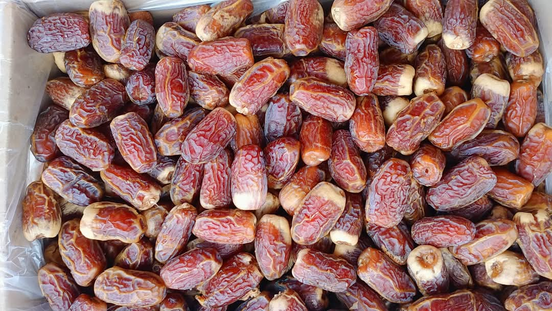 সুগাই খেজুর (Sagai Dates)